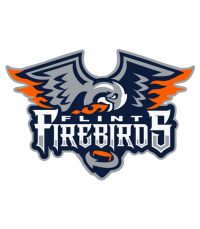 firebirds-flint_markknightdental